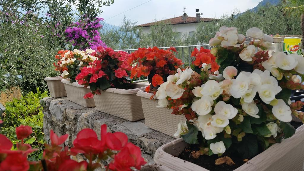 Hotel Augusta Garni Limone sul Garda Dış mekan fotoğraf
