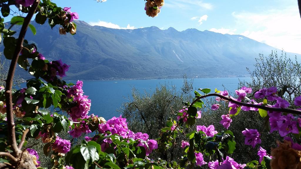 Hotel Augusta Garni Limone sul Garda Dış mekan fotoğraf