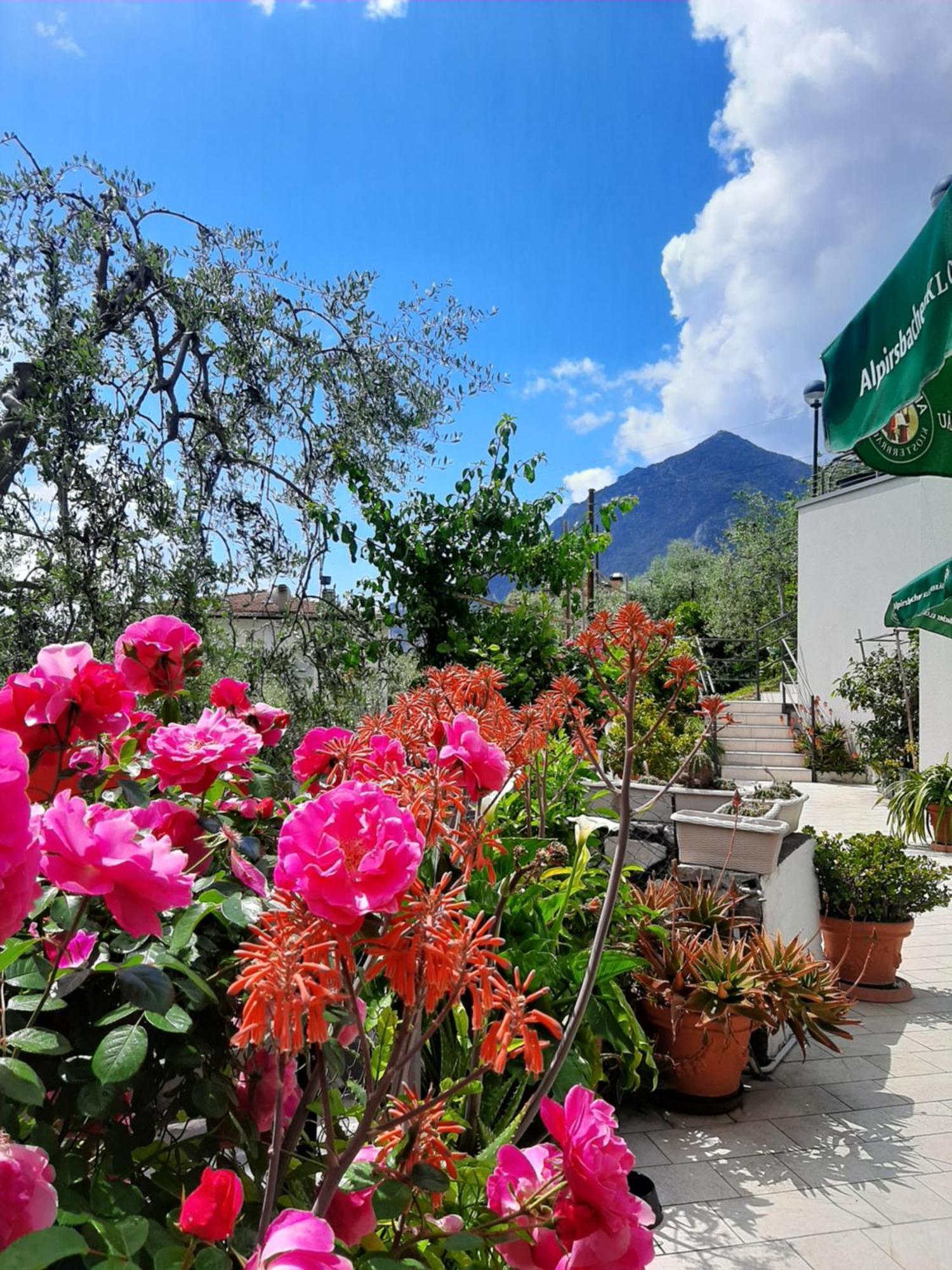 Hotel Augusta Garni Limone sul Garda Dış mekan fotoğraf