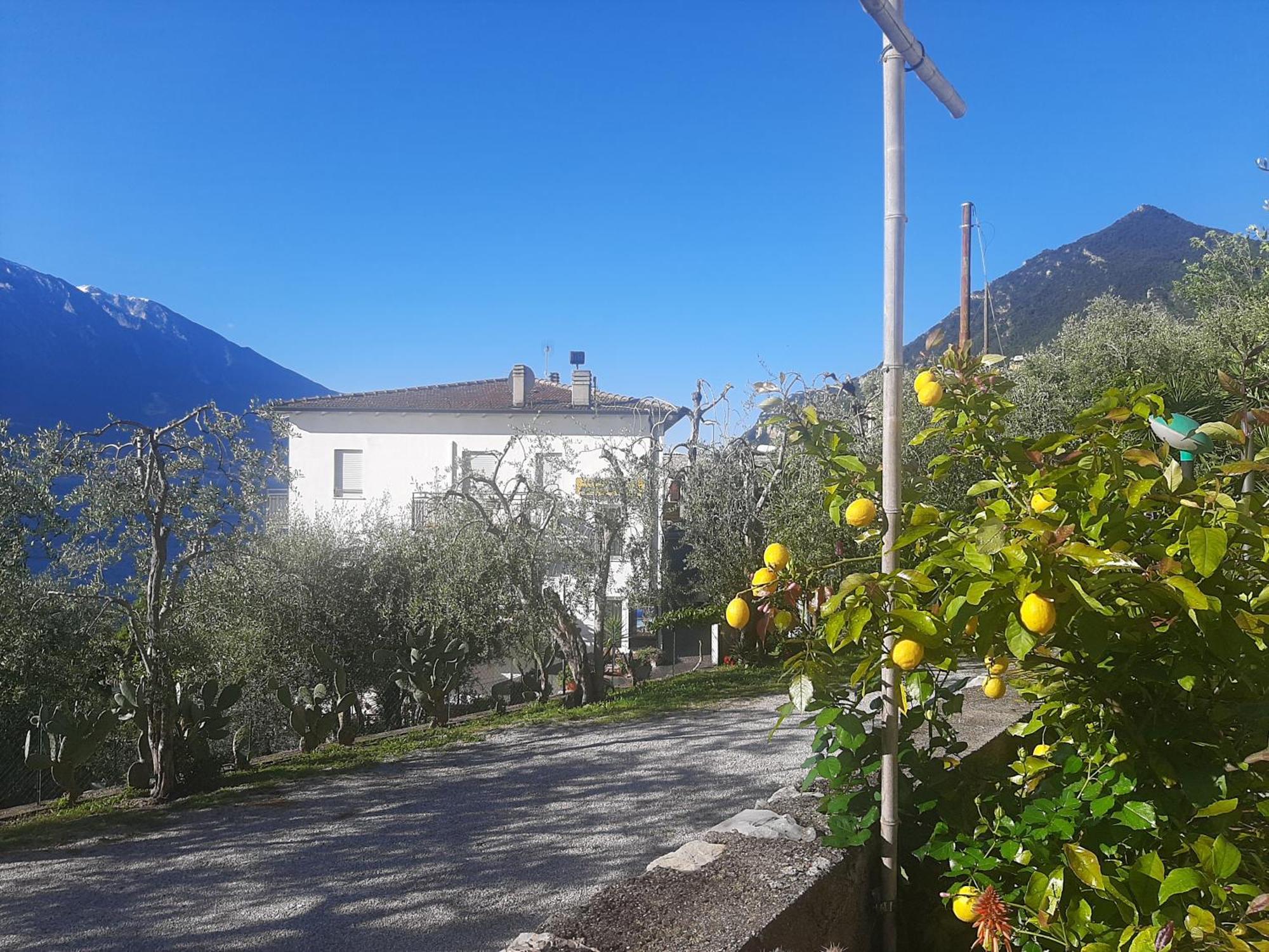 Hotel Augusta Garni Limone sul Garda Dış mekan fotoğraf